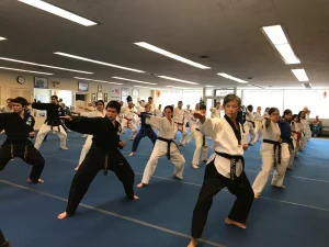 Martial Arts Training